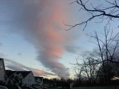 20121103_073444.jpg
