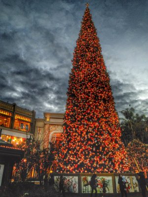 IMG_20131128_164910_1.jpg