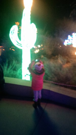 IMAG0060.jpg