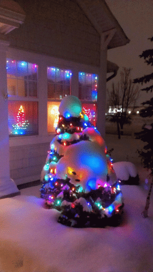 IMAG1287-TWINKLE.gif