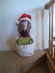 IMG_20131207_160759785.jpg