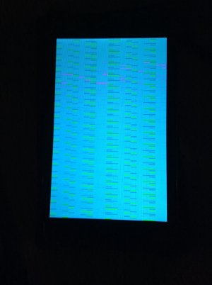 ImageUploadedByiFans1386374216.110665.jpg