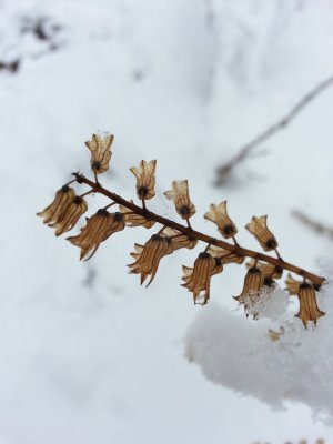 20131210_123048.jpg