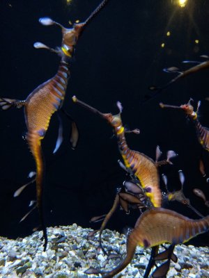 20131206_184326.jpg