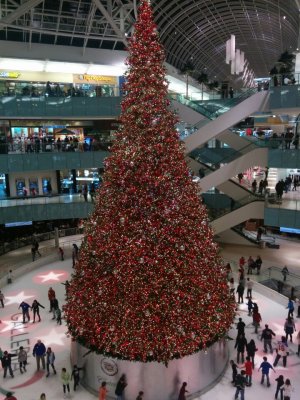 foursquare_photo_tmp.jpg