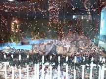 IMG_20131212_112024-SNOW.gif