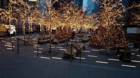 Xmas Zucotti.jpg