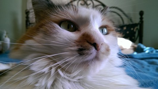 IMAG0009.jpg