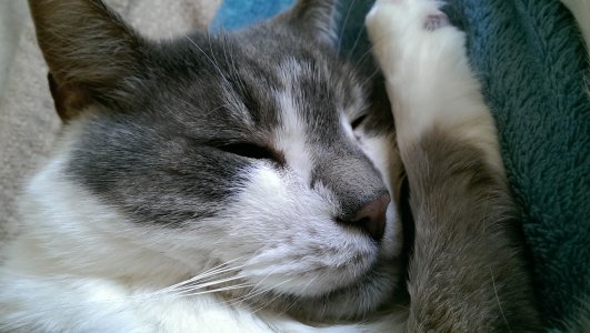 IMAG0015.jpg