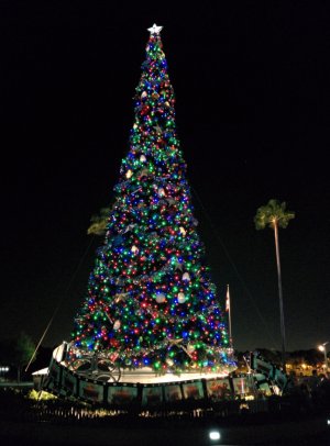 Hollywood Studios Tree.jpg