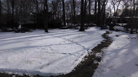 IMG_20140131_143318353.jpg