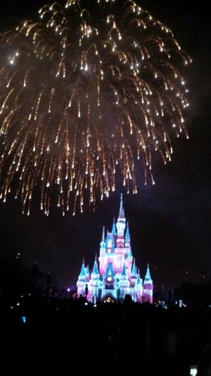 IMG_20131211_211144_248.jpg
