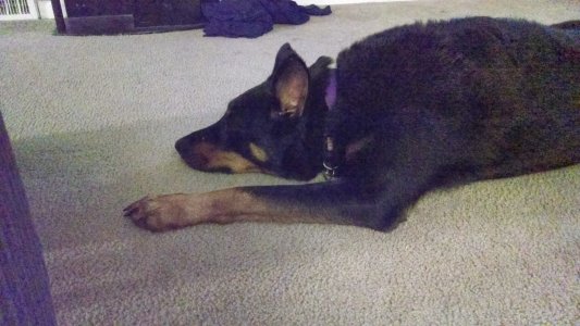 IMG_20131216_201019606.jpg