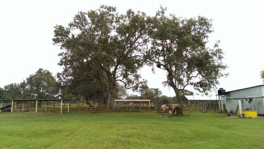 2013-12-26 15.20.11.jpg