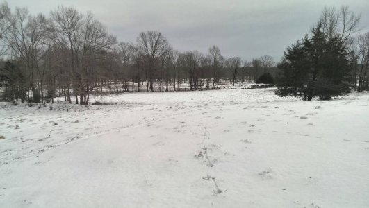 1391230429511.jpg