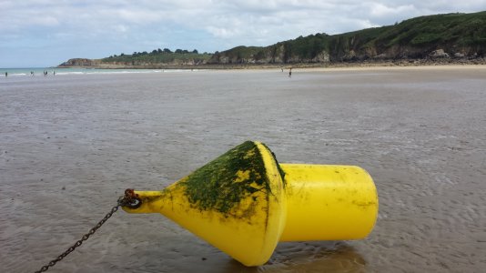20130809_155537.jpg