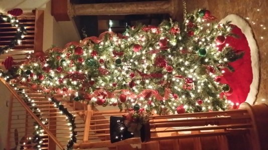 tree.jpg