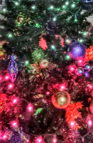 IMG_20131223_221309_1.jpg