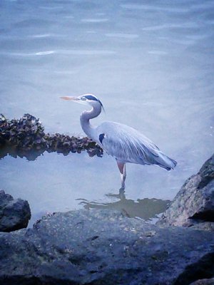 IMG_20131129_133859.jpg