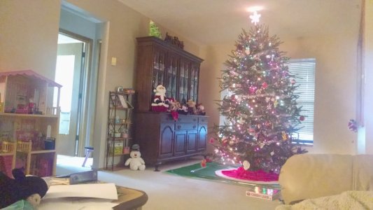 x_distant_no_flash.jpg x_distant_no_flash.jpg