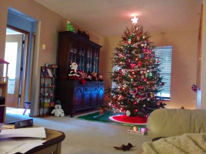 n5_distant_no_flash.jpg n5_distant_no_flash.jpg