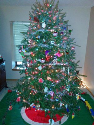 n5_tree_flash.jpg n5_tree_flash.jpg