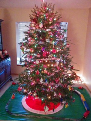 n5_tree_no_flash.jpg n5_tree_no_flash.jpg