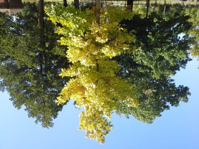 20131019_140141.jpg