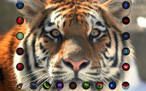 Scrapbook_1389400109824.jpg