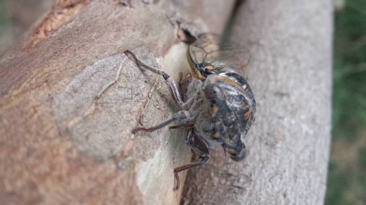 20130706_211938.jpg