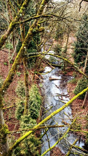 DSC_0014_1.jpg