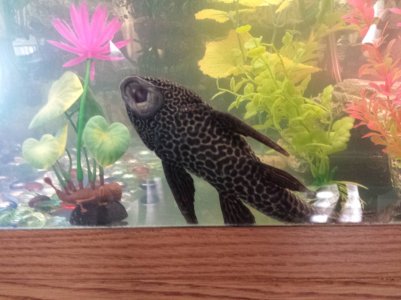 20131130_125421.jpg