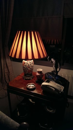 IMAG00_zps247742c1.jpg