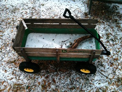 John Deere Wagon - Frozen in FL.jpg