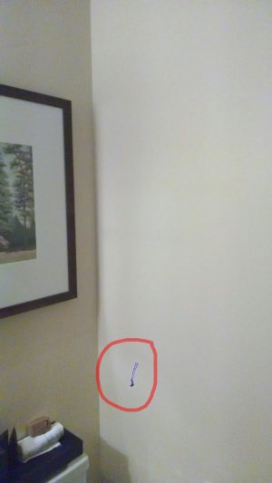 IMG_20131229_185302.jpg