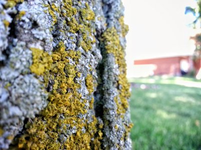 20120805_150534_1.jpg