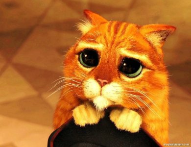 Puss-In-Boots-Shrek-497126.jpg