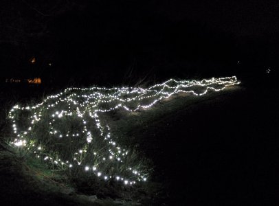 lights.jpg