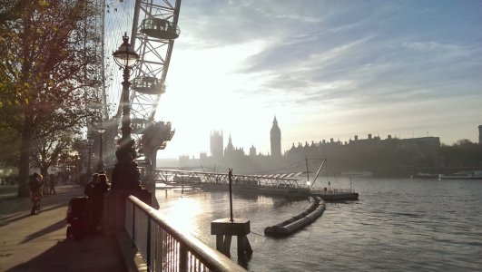IMAG0217.jpg