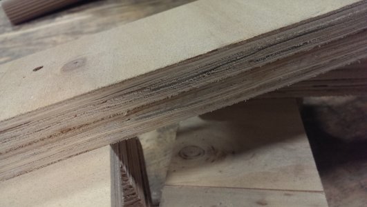 IMAG0242.jpg