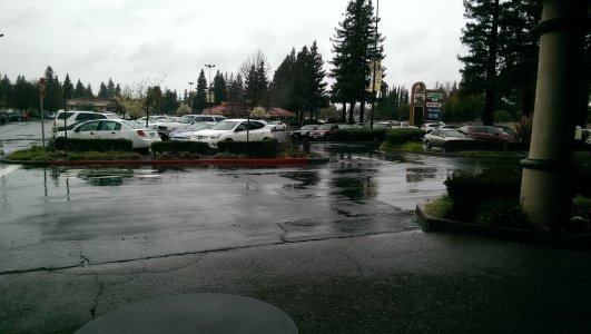 IMAG0001.jpg