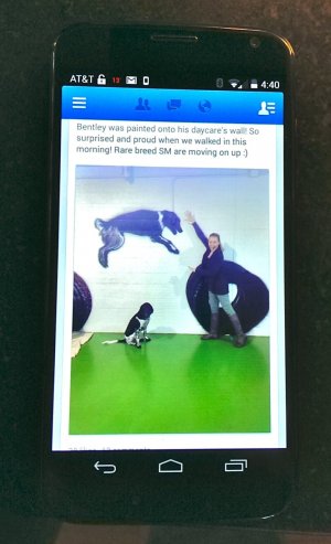 4 Facebook Moto X.jpg