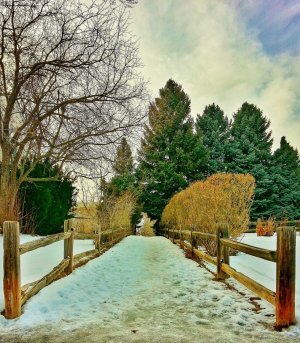 20140210_153448_High Line Canal Trail_HDR_1.jpg