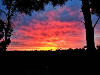 20131228_063839_1.jpg