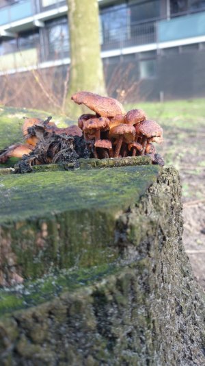 DSC_0216.jpg