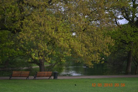 IMAG0143.jpg