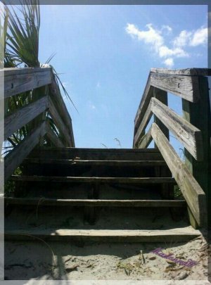 SuperPhoto_12-1_wm.jpg