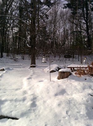 2014-01-20 12.38.33.jpg