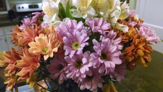 IMG_20131216_184358268.jpg