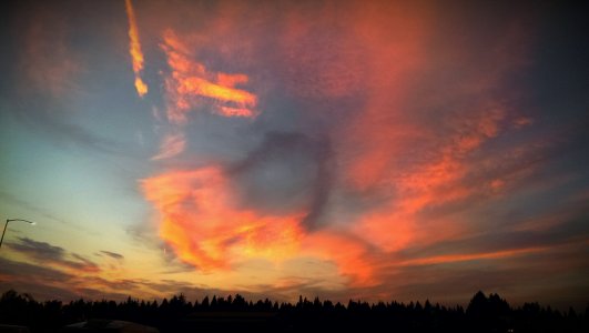 IMAG0965_1.jpg